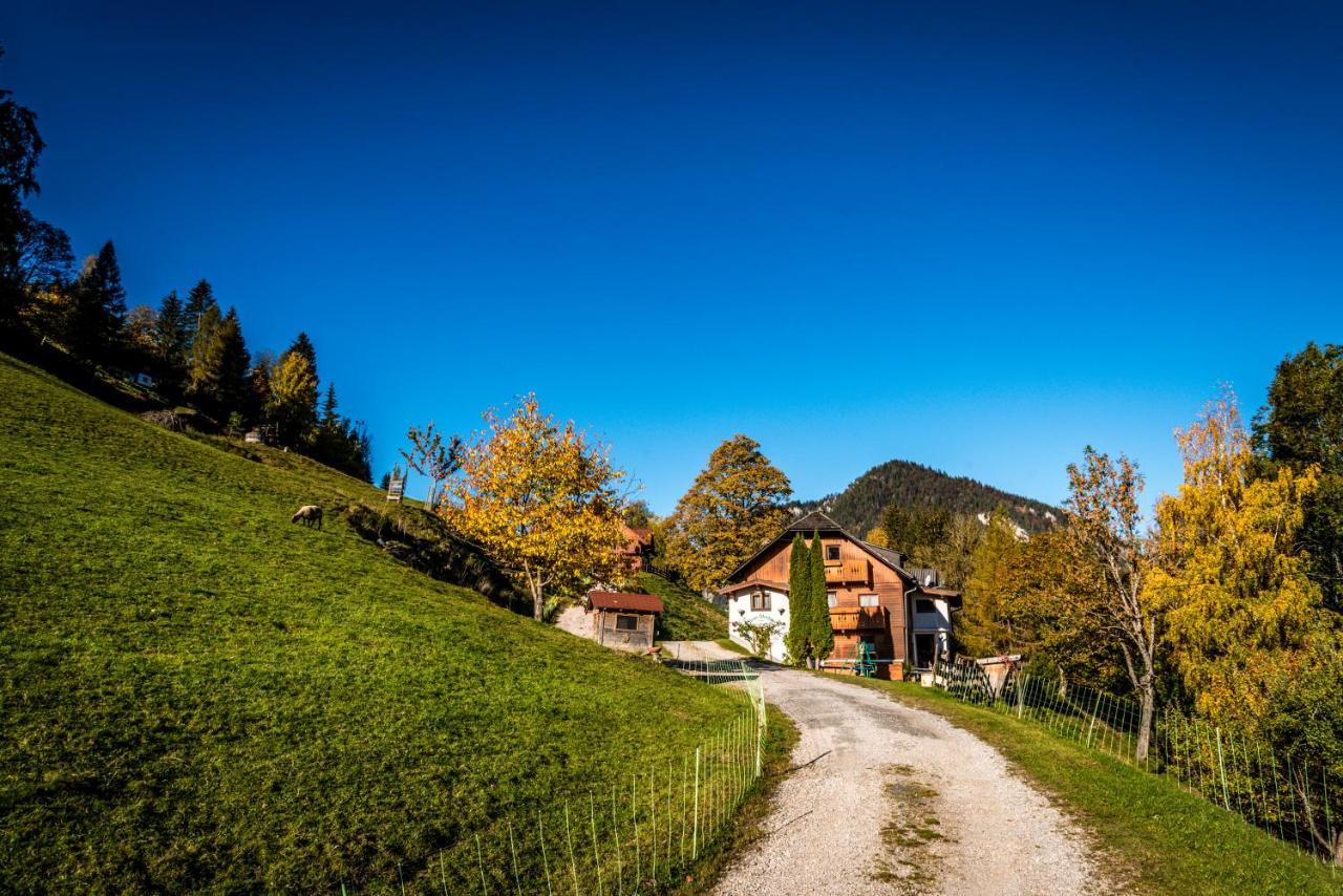 Stallhaeusl Schladming Kültér fotó