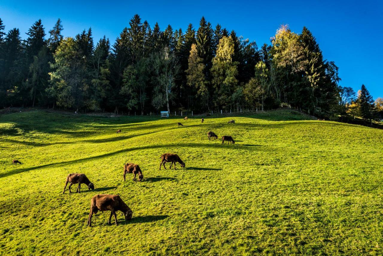 Stallhaeusl Schladming Kültér fotó