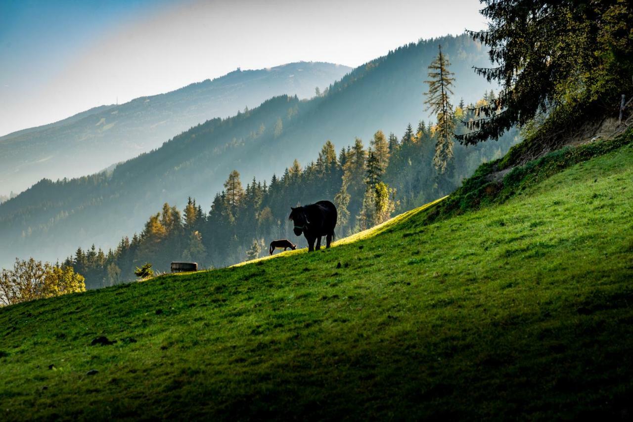 Stallhaeusl Schladming Kültér fotó